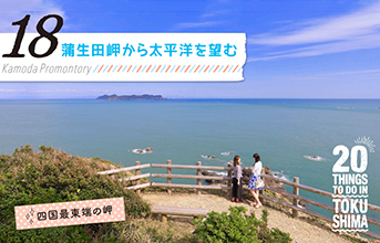 蒲生田岬