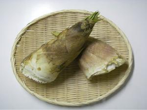 京たけのこの写真