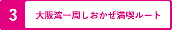 大阪湾一周しおかぜ満喫ルート