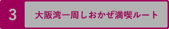 大阪湾一周しおかぜ満喫ルート