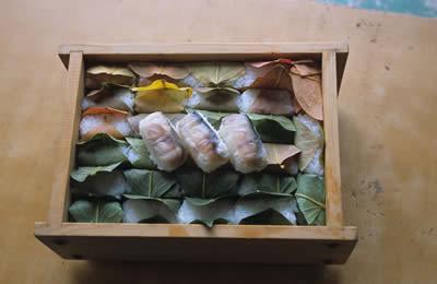 柿の葉寿司の写真