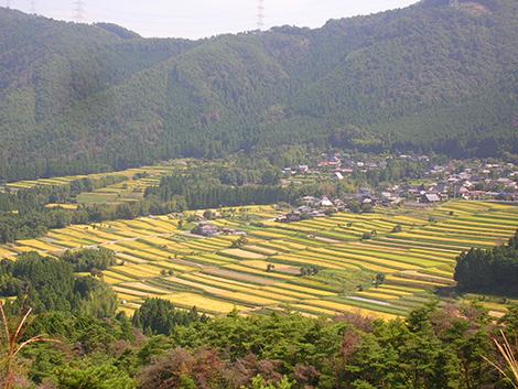 関西の田園風景の写真