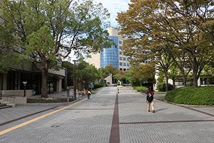 和歌山大学キャンパスの写真