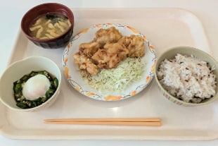 本日のメニュー