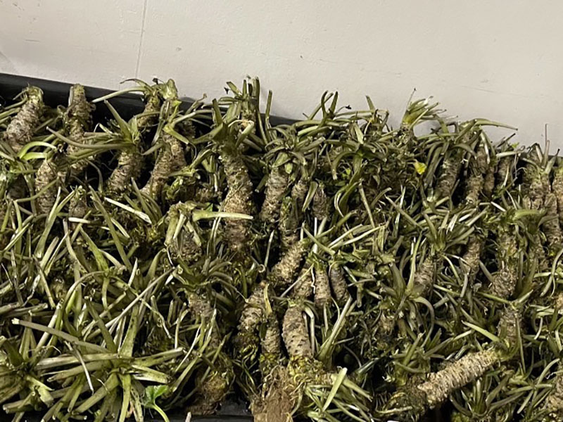 Agritech-plus Co.,Ltd05