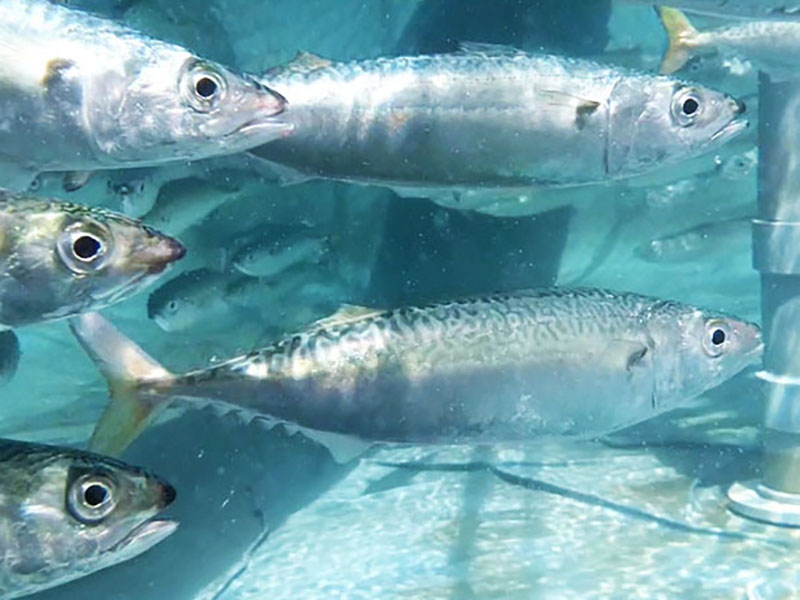 tashimaboring,Ltd